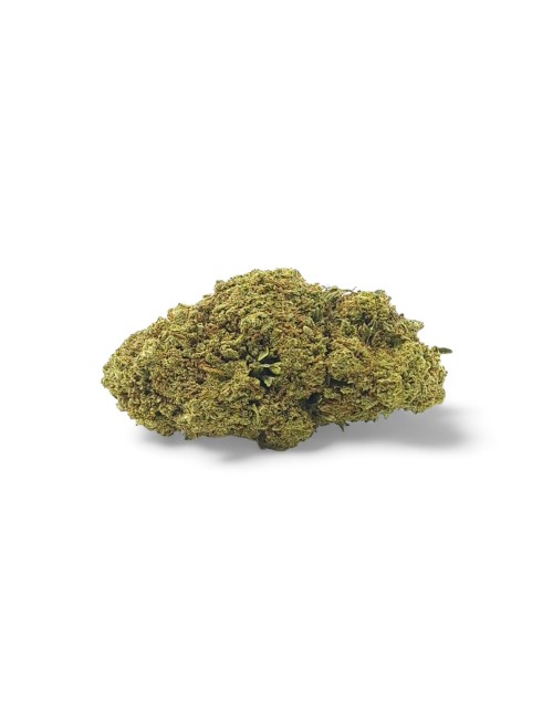 CBD-Blüte San Francisco