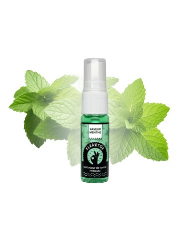 Entgiftungsspray KLEANER KLEANTOX Minze