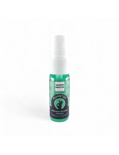 Entgiftungsspray KLEANER KLEANTOX Minze