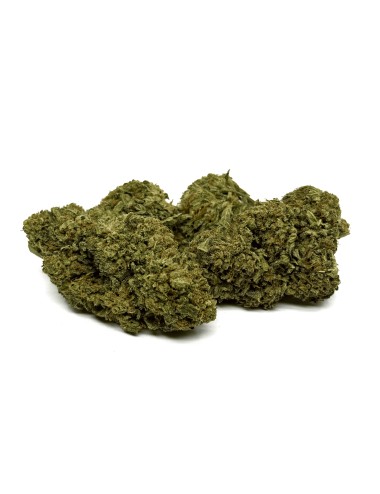 CBD-Blüte Cali Weed Indoor