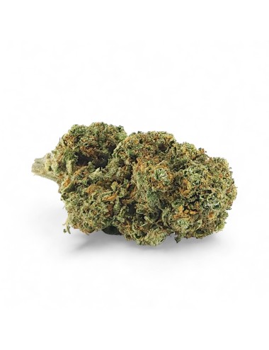 CBD-Blüte Cali Weed Indoor