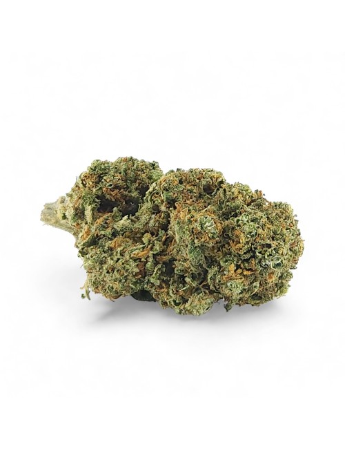CBD-Blüte Cali Weed Indoor