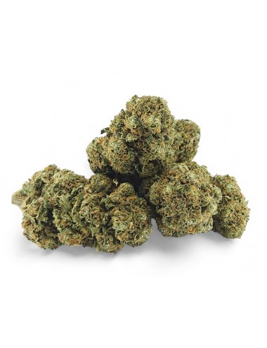 CBD-Blüte Cali Weed Indoor