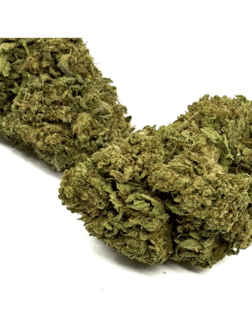 CBD-Blüte Cali Weed Indoor