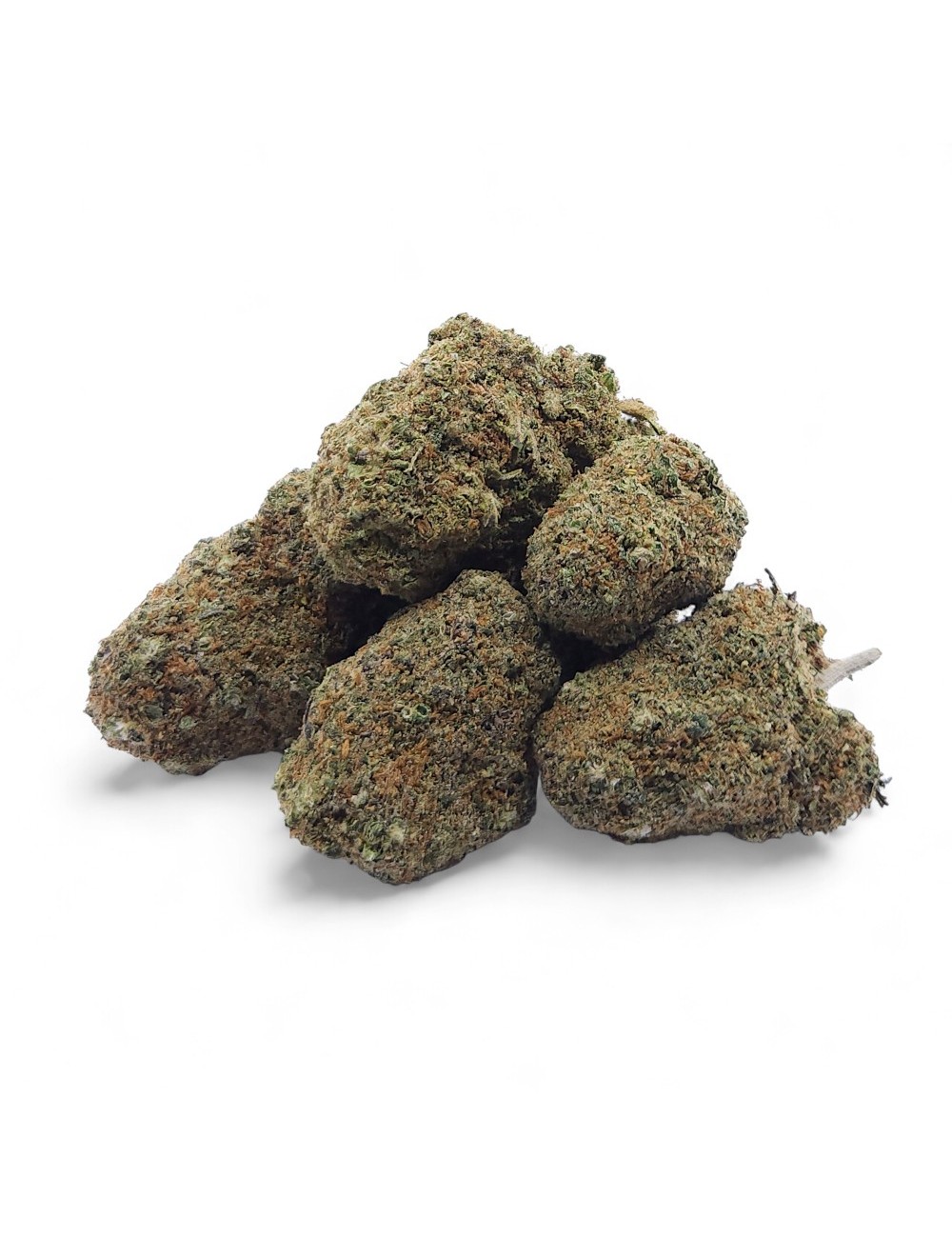 CBD-Blüte Gelato Glue Indoor Premium