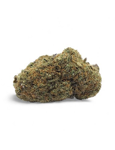 CBD-Blüte Gelato Glue Indoor Premium