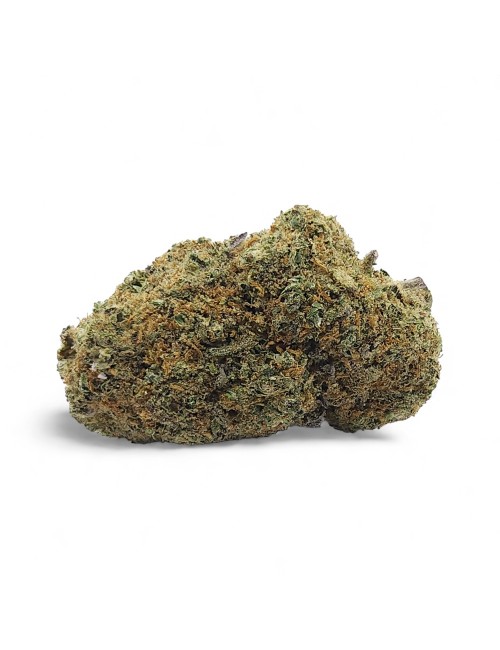 CBD-Blüte Gelato Glue Indoor Premium