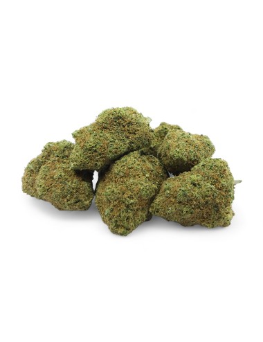 CBD-Blüte Amnesia 2.0 Indoor Premium