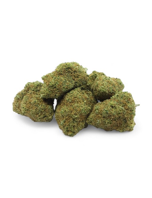 CBD-Blüte Amnesia 2.0 Indoor Premium