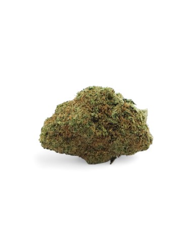 CBD-Blüte Amnesia 2.0 Indoor Premium