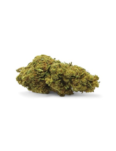 CBD-Blüte Limoncello Premium