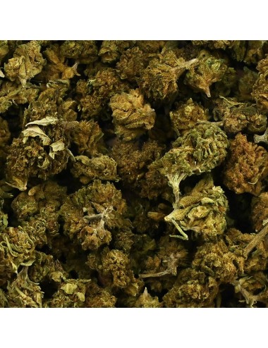 CBD-Blüte Gemischte Small & Big Bud