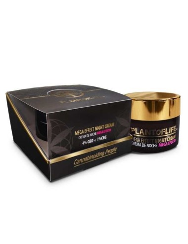 CBD- und CBG-Nachtcreme | PLANT OF LIFE