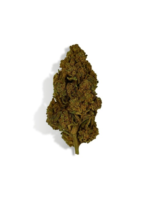 CBD-Blüte Tonic Kush