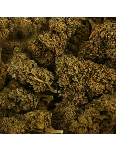 CBD-Blüte Tonic Kush
