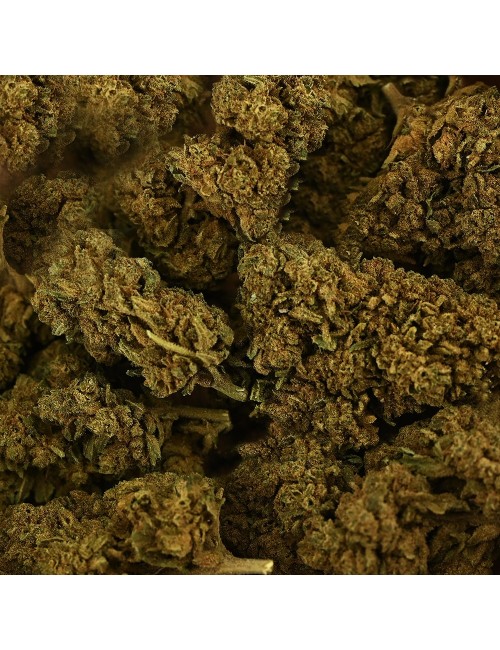 CBD-Blüte Tonic Kush