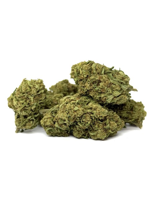 CBD-Blüte Amnesia Haze