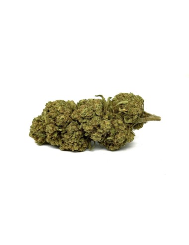 CBD-Blüte Amnesia Haze