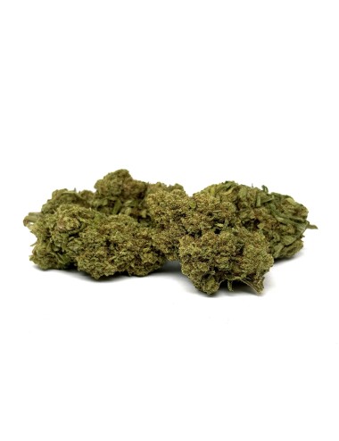 CBD-Blüte Amnesia Haze
