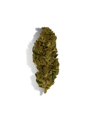 CBD-Blüte - LEMON HAZE