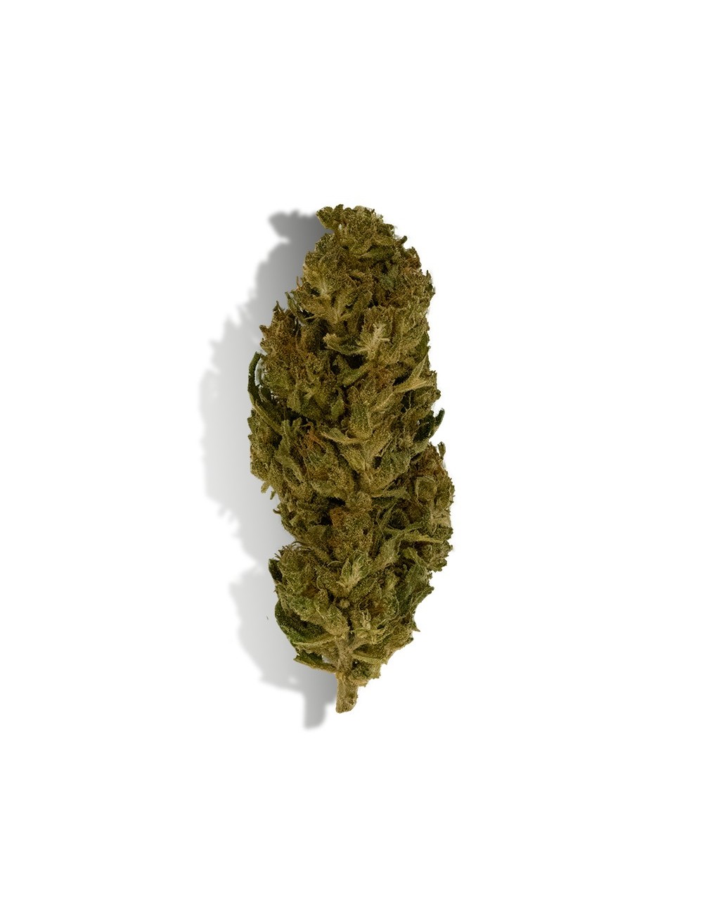 CBD-Blüte - LEMON HAZE