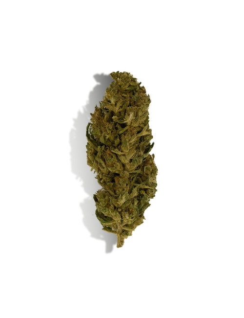 CBD-Blüte - LEMON HAZE