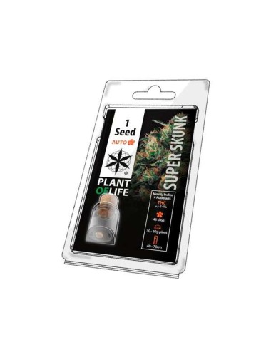 Sammlersamen SUPER SKUNK AUTO