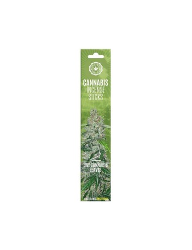 Räucherstäbchen Cannabis Trockene Cannabisblätter Multitrance