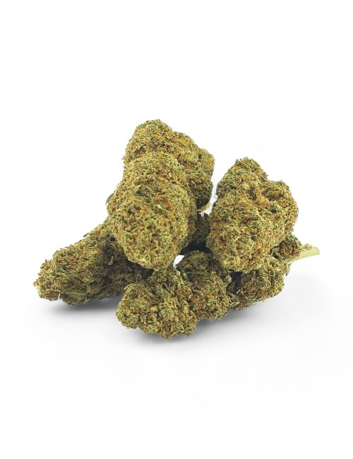 CBD-Blüte Strawberry Haze 10%