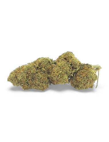 CBD-Blüte Strawberry Haze 10%