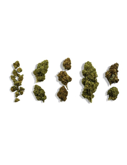 CBD-Blüten Einsteiger-Entdeckungsset