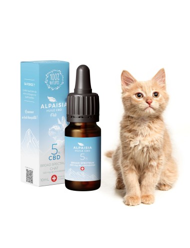CBD-Öl 5% Breitspektrum für Katzen | ALPAISIA