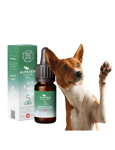 CBD-Öl 5% Breitspektrum für Hunde | ALPAISIA