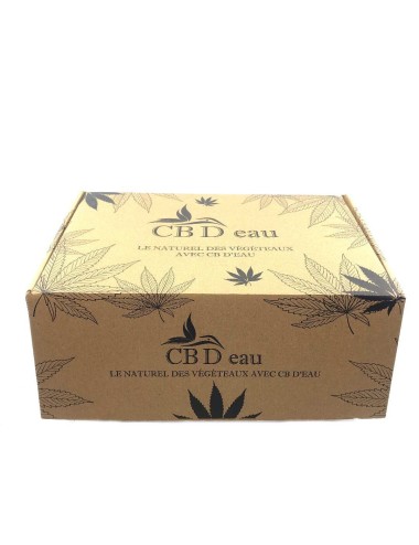 Hanf-Kosmetikbox | CBD'EAU