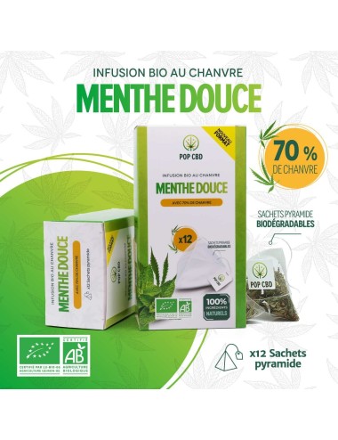Biologischer CBD-Tee mit milder Minze - Teebeutel | POP CBD
