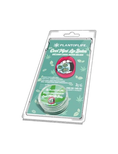 CBD & CBG Lippenbalsam Minze | PLANT OF LIFE