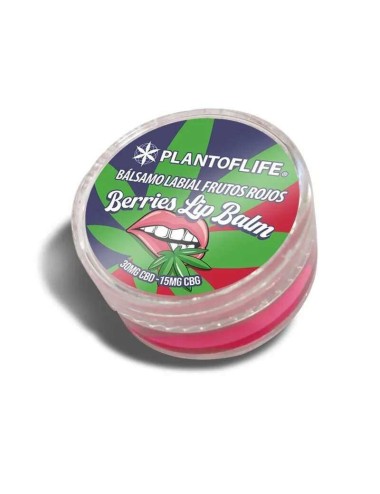 CBD & CBG Lippenbalsam mit roten Früchten | PLANT OF LIFE
