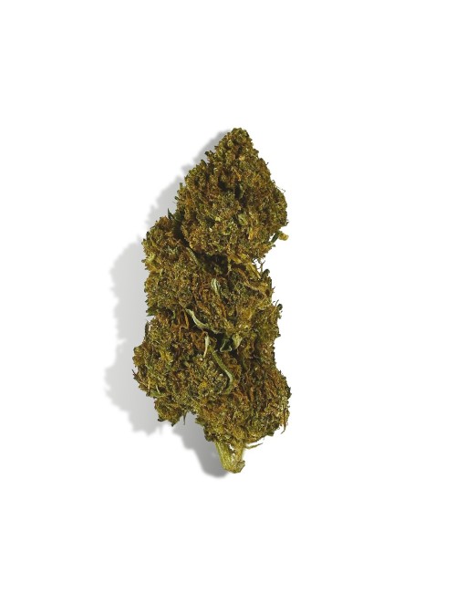 CBD-Blüten Einsteiger-Entdeckungsset