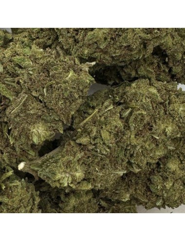 CBD-Blüte - PINK LADY KUSH
