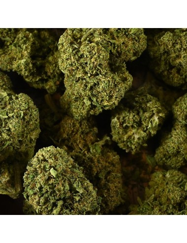CBD-Blüte - BUBBLEGUM
