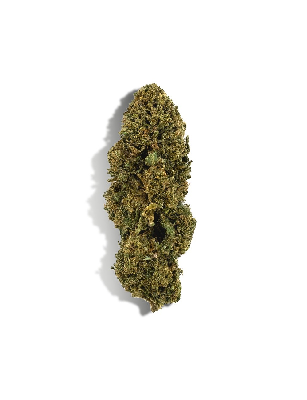 CBD-Blüte - WHITE DAWG