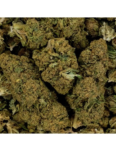 CBD-Blüte - WHITE DAWG