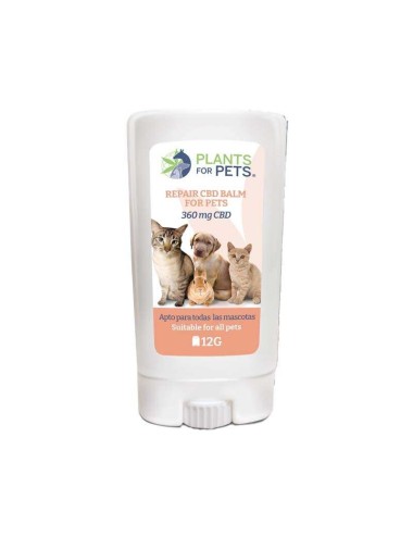 CBD-Reparaturbalsam für Tiere Light | PLANTS FOR PETS