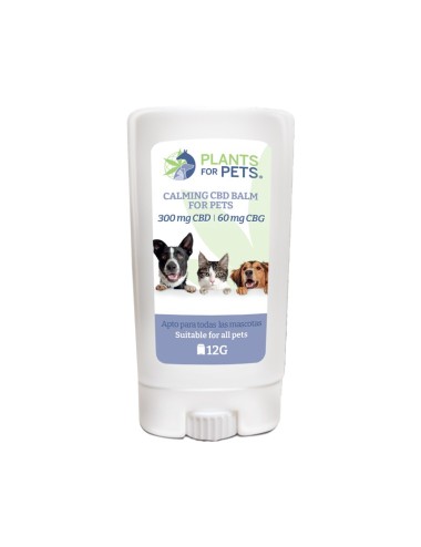 CBD-Beruhigungsbalsam für Tiere Light | PLANTS FOR PETS