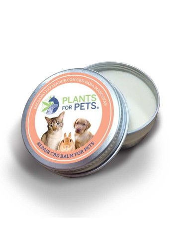 CBD-Reparaturbalsam für Tiere stark | PLANTS FOR PETS