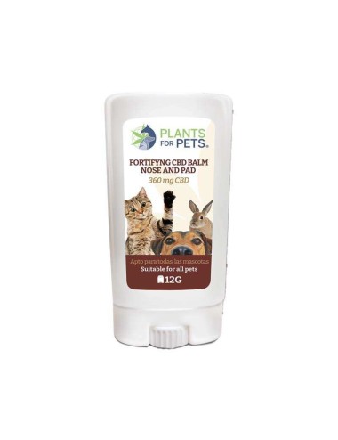 CBD-Stärkungsbalsam für Tiere | PLANTS FOR PETS