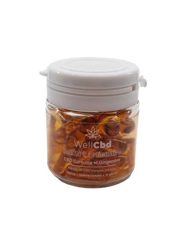 CBD-Kapseln für Gelenke Well CBD