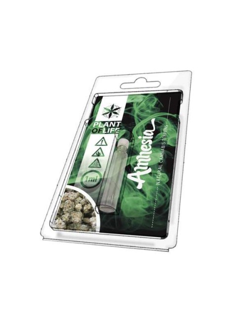 Terpene Amnesia | PLANT OF LIFE