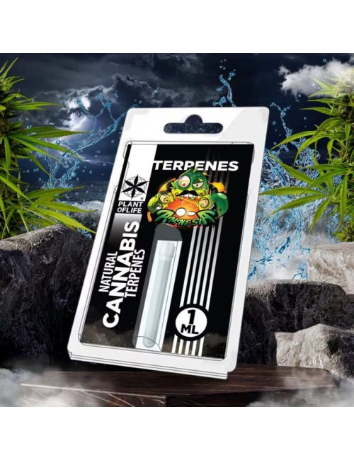 Terpene Amnesia | PLANT OF LIFE