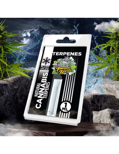 Terpen Purple Haze | PLANT OF LIFE